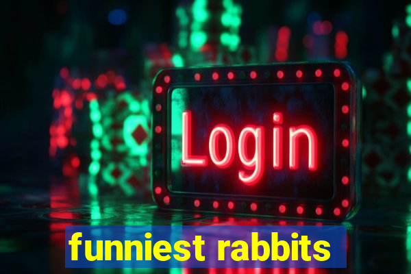 funniest rabbits