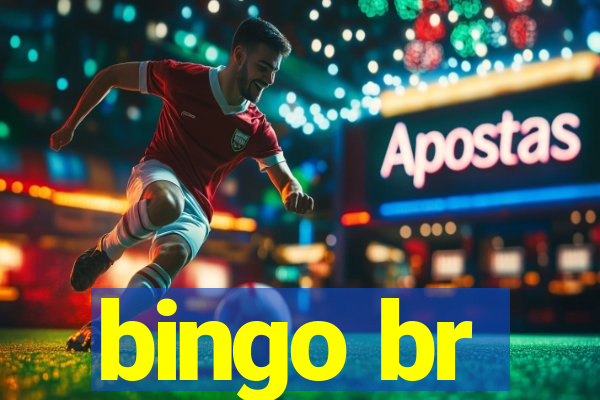 bingo br