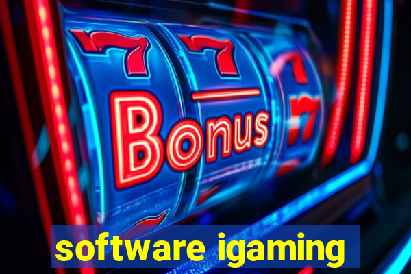 software igaming