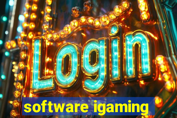 software igaming