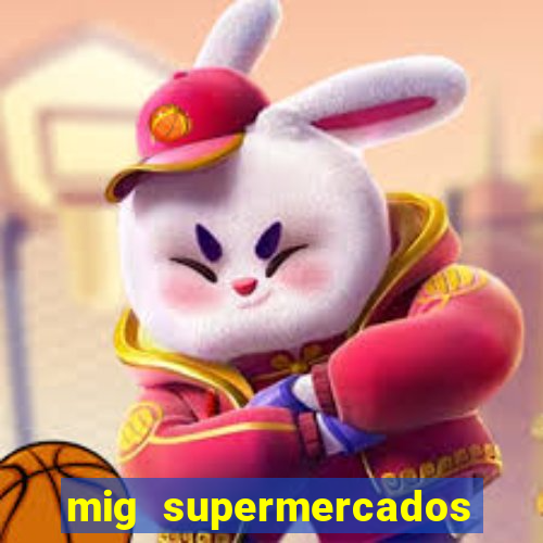 mig supermercados vila nova