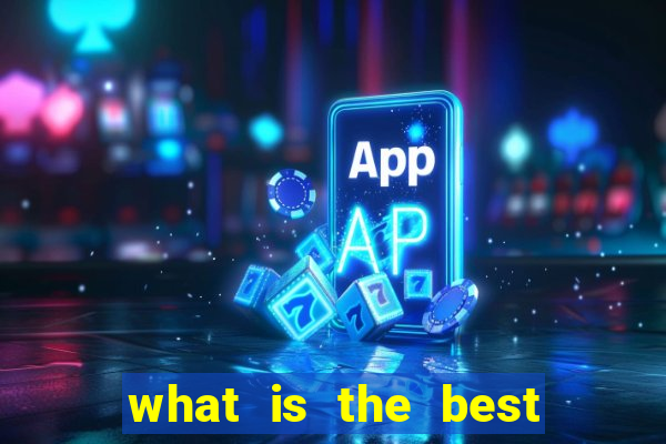 what is the best bingo site