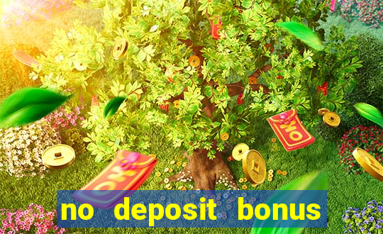 no deposit bonus free spin casino