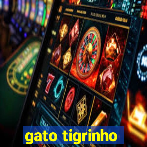 gato tigrinho