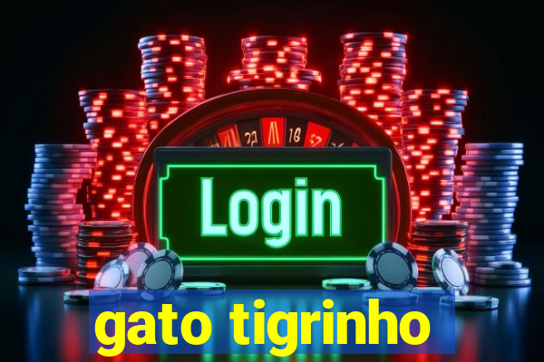 gato tigrinho