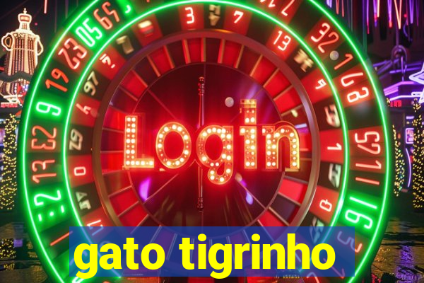 gato tigrinho