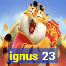 ignus 23