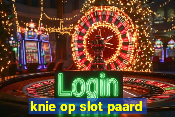 knie op slot paard