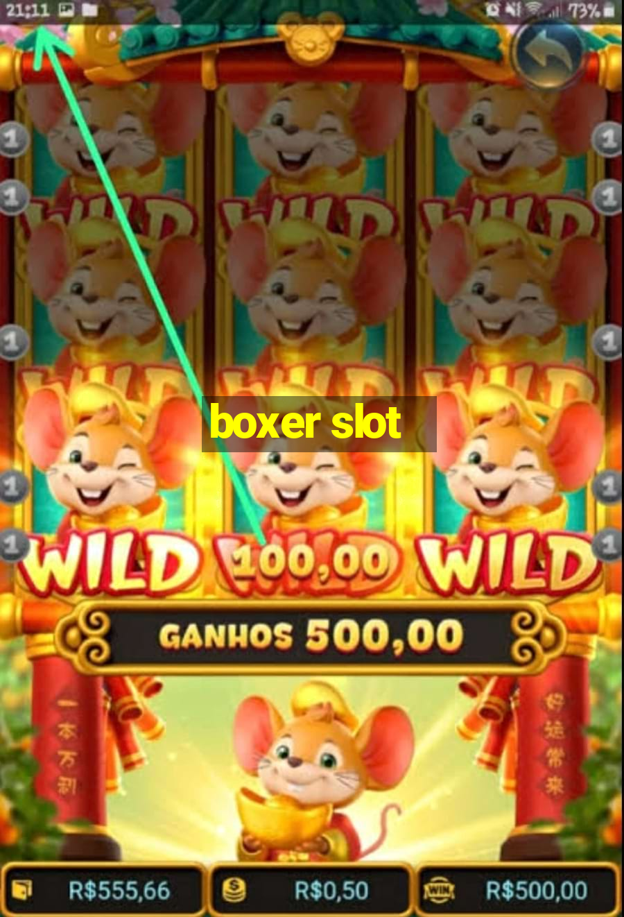 boxer slot