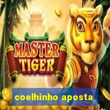 coelhinho aposta