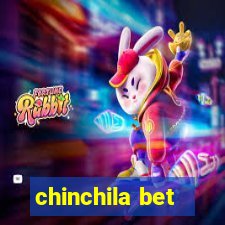 chinchila bet