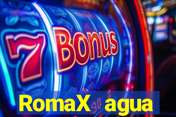 RomaX agua sanitaria fispq agua sanitaria romax