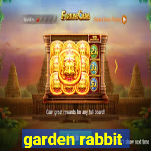 garden rabbit