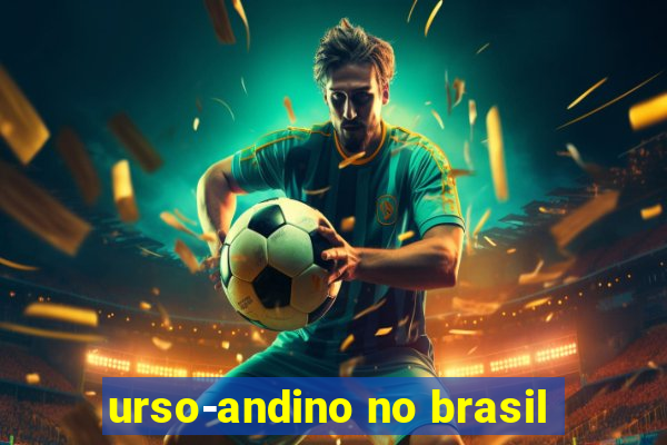 urso-andino no brasil