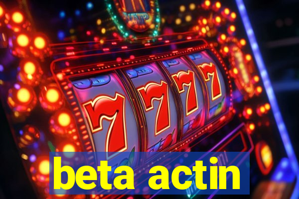 beta actin