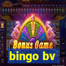 bingo bv