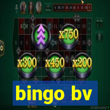 bingo bv