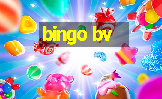 bingo bv