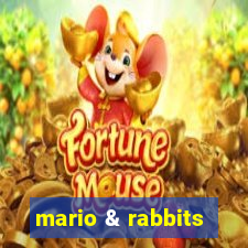 mario & rabbits