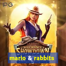 mario & rabbits