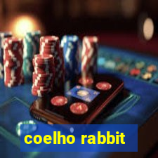 coelho rabbit