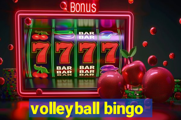 volleyball bingo