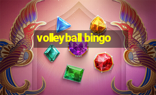 volleyball bingo