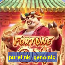 purelink genomic dna mini kit