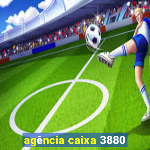 agência caixa 3880