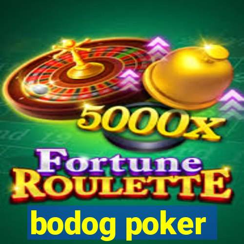 bodog poker