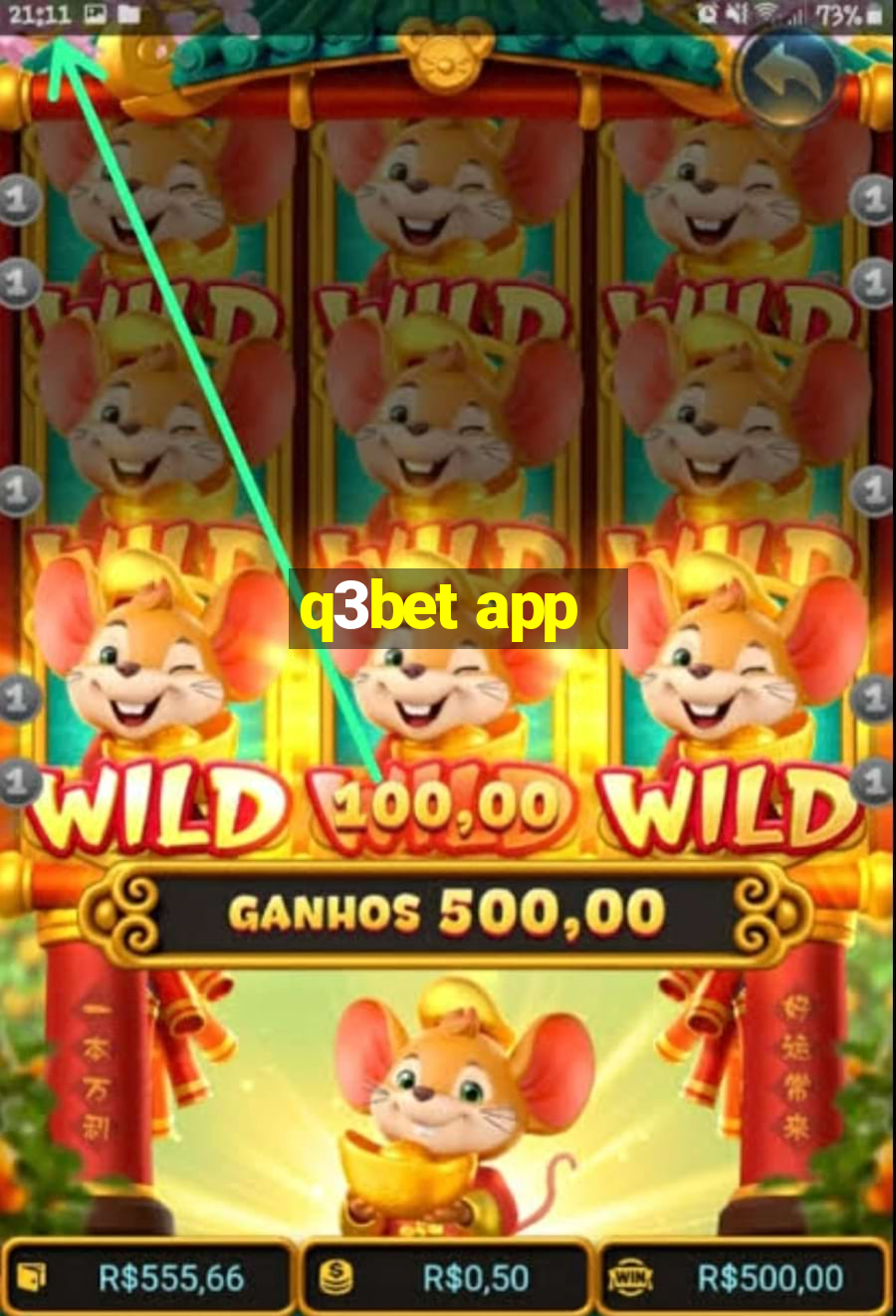 q3bet app