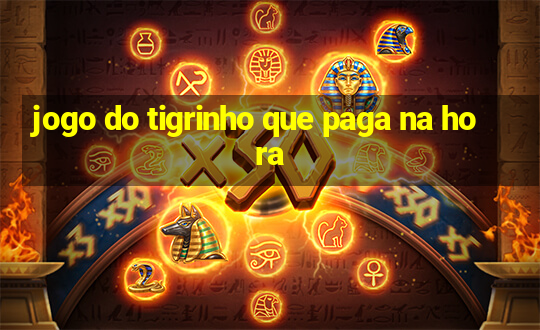 jogo do tigrinho que paga na hora