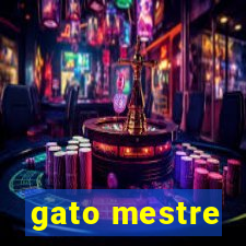 gato mestre