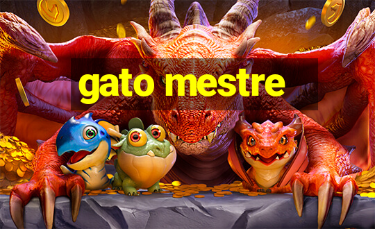 gato mestre