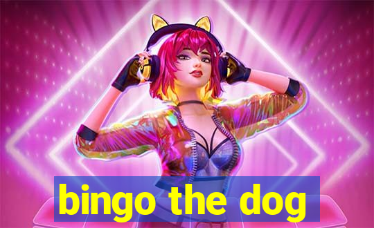 bingo the dog