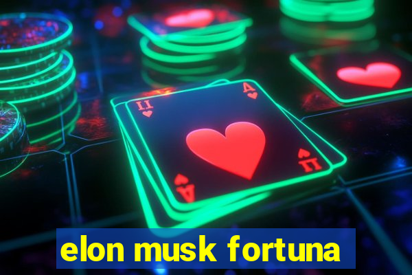 elon musk fortuna