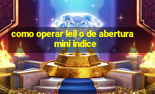 como operar leil o de abertura mini indice