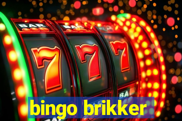 bingo brikker