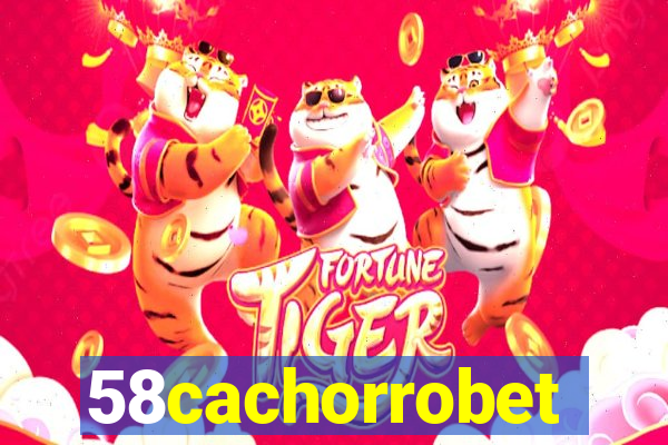 58cachorrobet