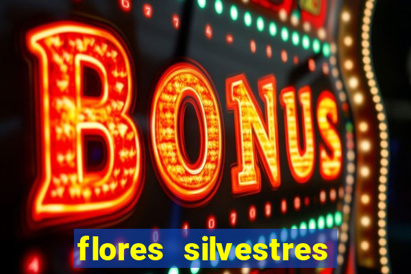 flores silvestres desbravadores desbravadores 25