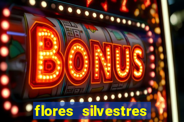 flores silvestres desbravadores desbravadores 25