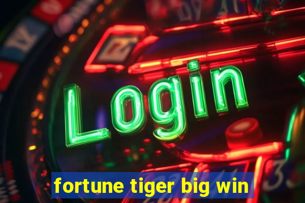 fortune tiger big win