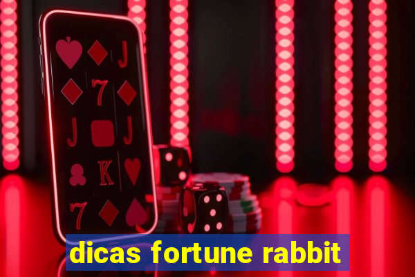 dicas fortune rabbit