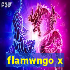 flamwngo x