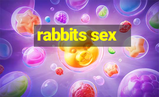 rabbits sex