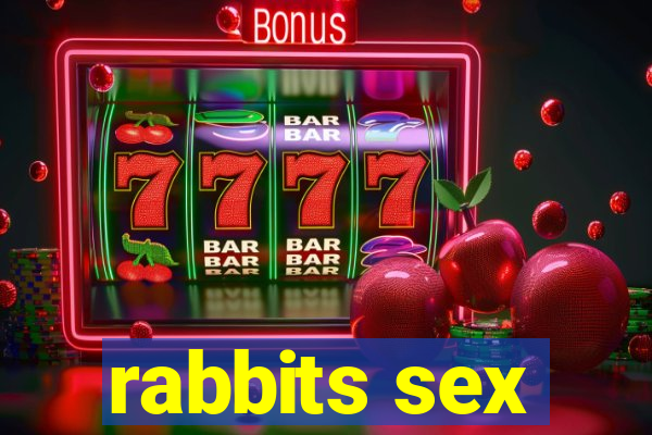 rabbits sex