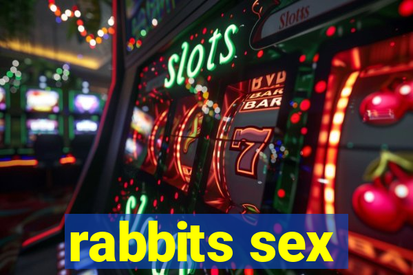 rabbits sex