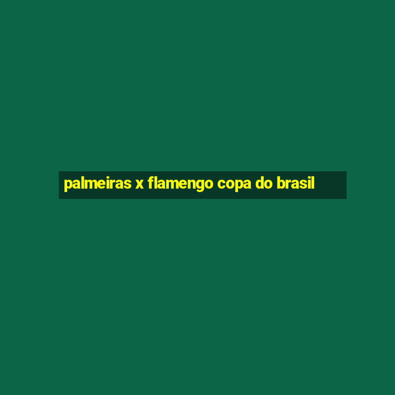 palmeiras x flamengo copa do brasil