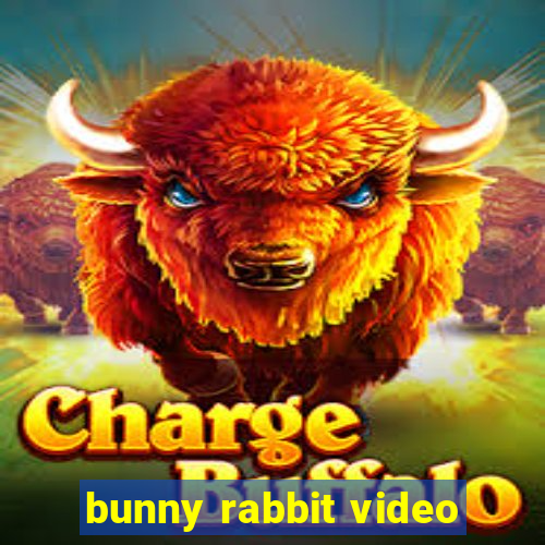 bunny rabbit video