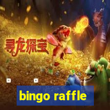 bingo raffle